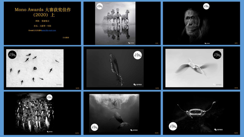 1945 Mono Awards 大赛获奖佳作（2020）上.jpg