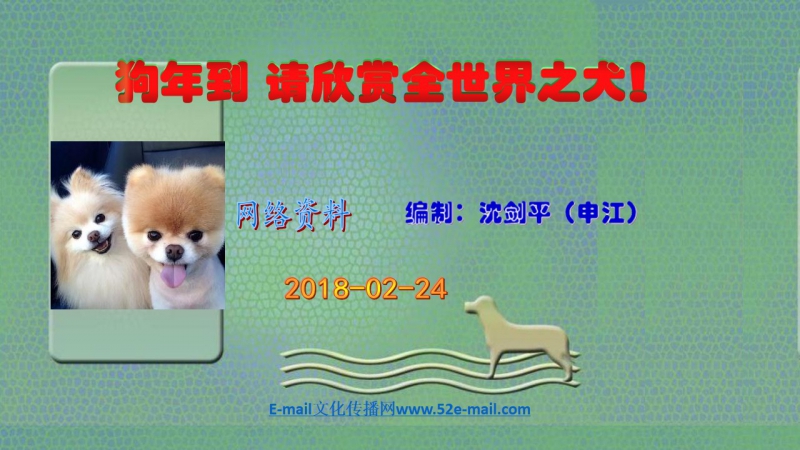 狗年到  请欣赏全世界之犬截图1.jpg