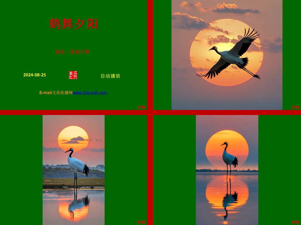 鹤舞夕阳-截图.jpg